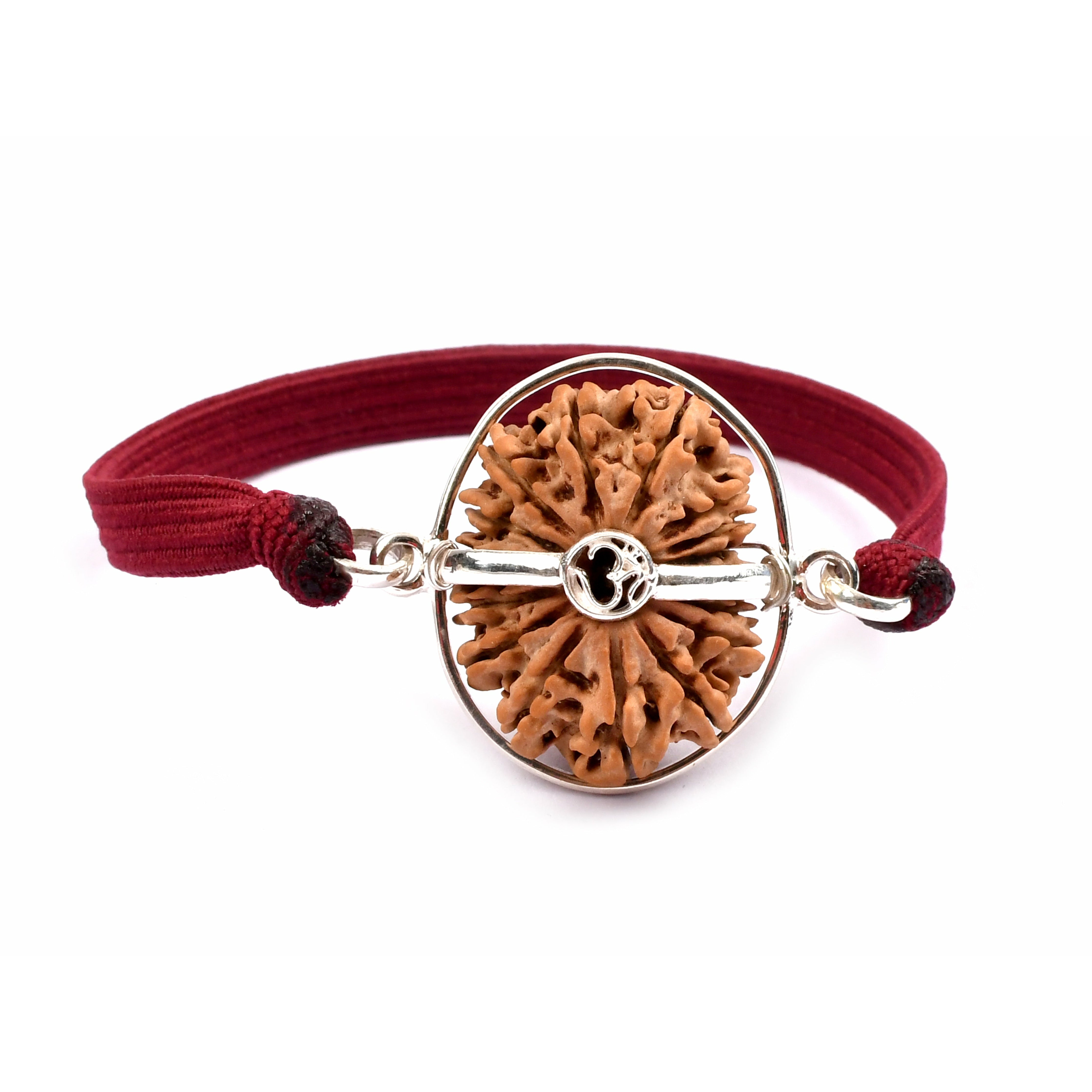 16-Augen-Rudraksha (Nepal)